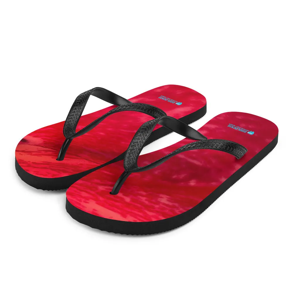 Flip-Flops