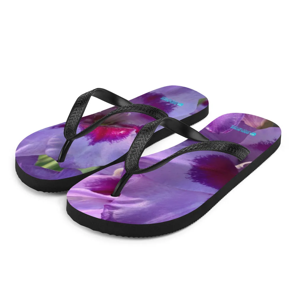 Flip-Flops