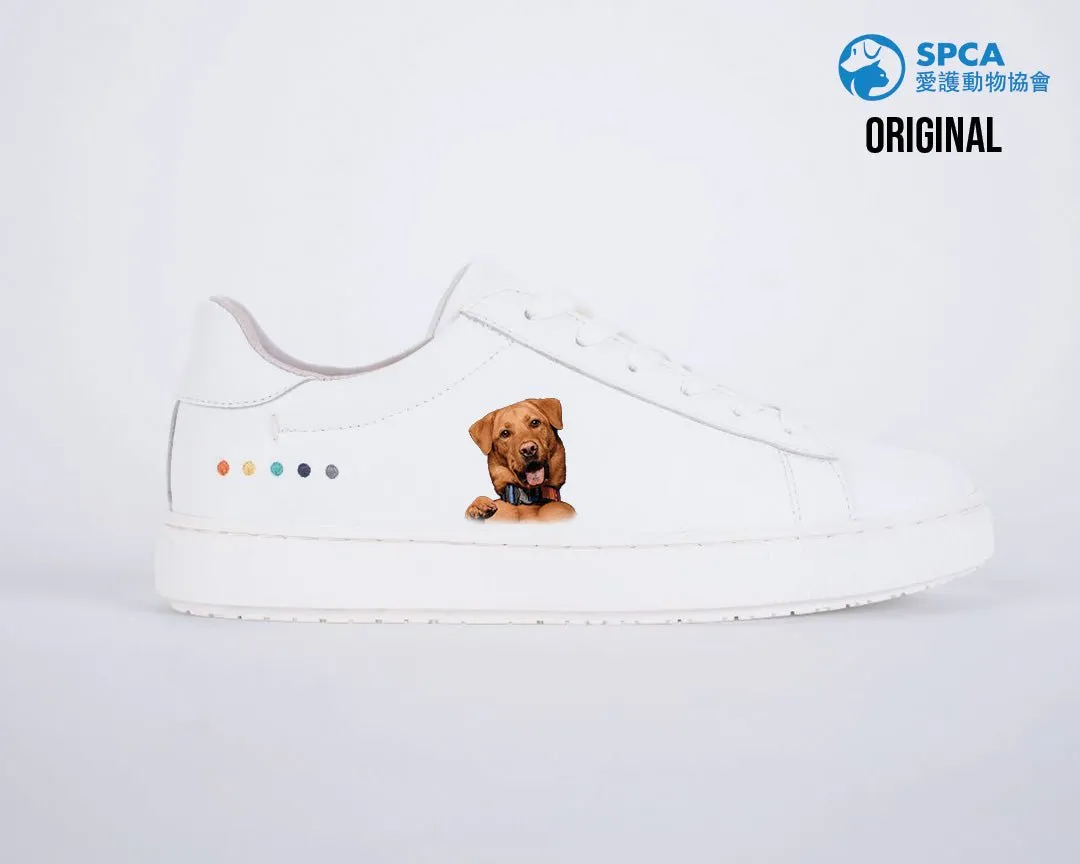 KIBO x SPCA Custom Kicks