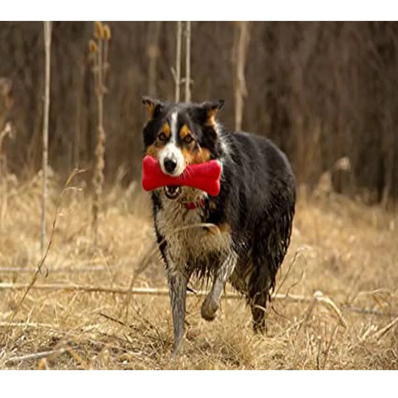 Soft Rubber Nub Bone Dog Toy